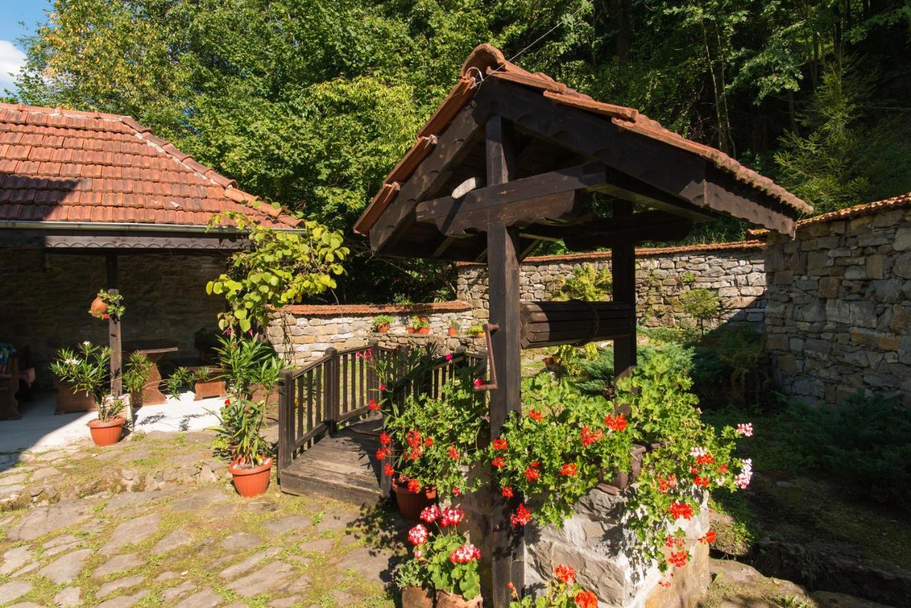 Family Hotel Bile Белі-Осум Екстер'єр фото